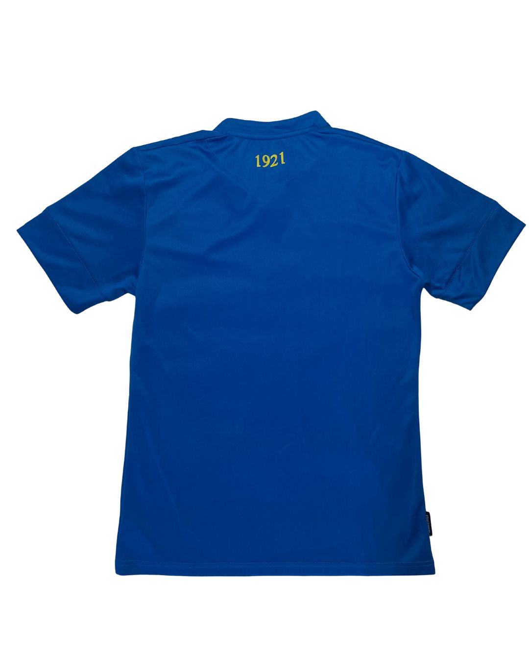 Ireland 100 Year Anniversary Jersey 2021 (Medium) #617