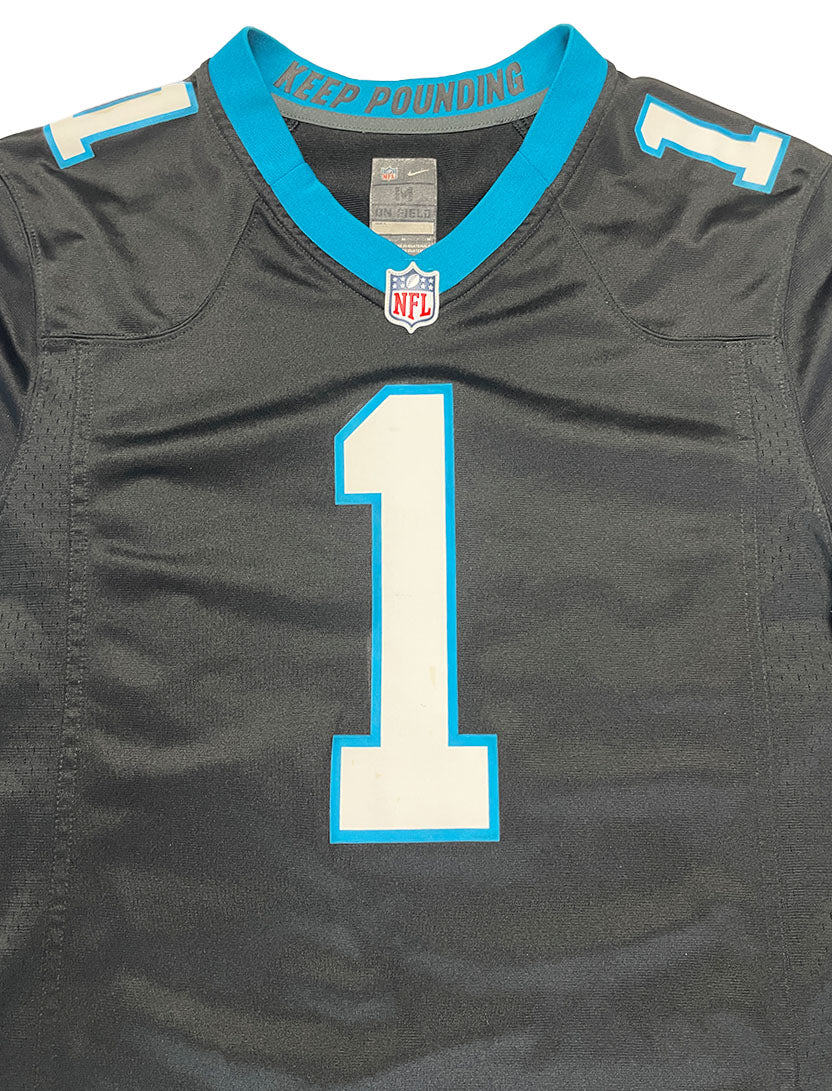 Carolina Panthers 2015 Cam Newton #1 (Medium) #549