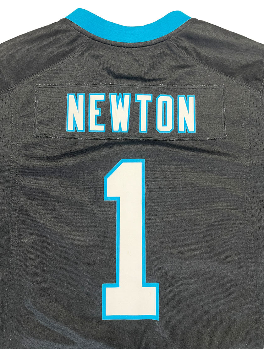 Carolina Panthers 2015 Cam Newton #1 (Medium) #549